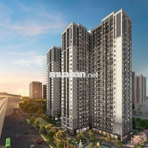 🏡 Giảm giá gấp – căn 1PN LD2 The London, 44,2m² chỉ 3,3 tỷ thu về