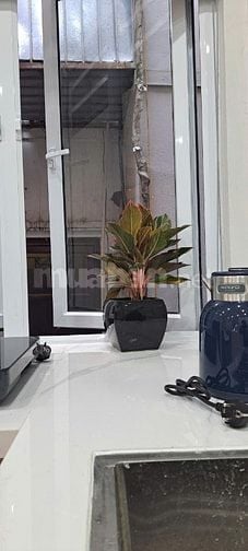 Cho thuê nhà riêng 2 tầng, phố Ông Ích Khiêm, quận Ba Đình