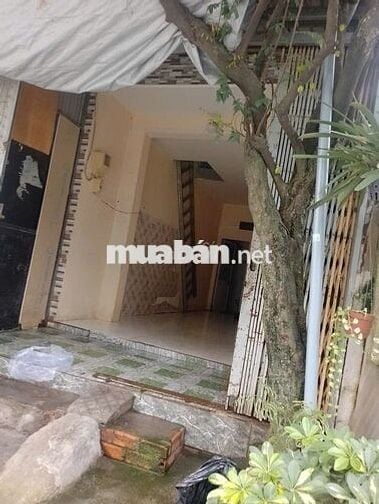 nhà mặt nhựa xe đông 1 tầng QUẬN 12