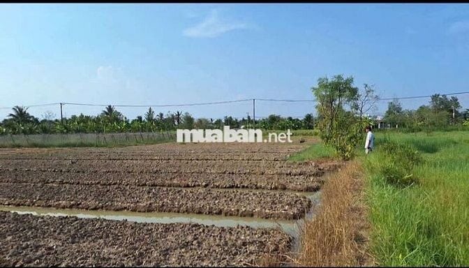 MẶT TIỀN TỈNH LỘ 883 MỚI (HL173)