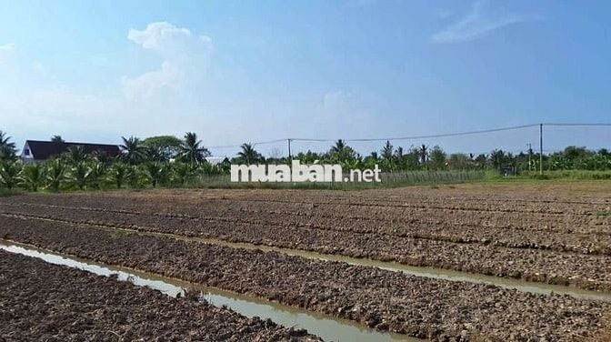 MẶT TIỀN TỈNH LỘ 883 MỚI (HL173)