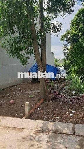 Chính chủ bán đất full thổ cư hẻm xe tải Trần Văn Giàu Bình Chánh