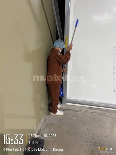 Tuyển nhân viên vệ sinh văn phòng