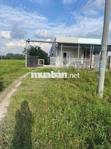 CHÍNH CHỦ BÁN ĐẤT ĐỨC HOÀ LONG AN