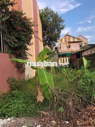 Trục chính giáp Sân Bay 2 mặt tiền Thụy Hương Phú Cường hàng đẹp hiến