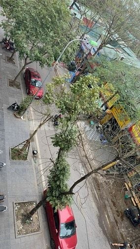 Mặt phố Trần Điền, KĐT Định Công - 89m2 x 4 tầng, MT: 4,5m vỉa hè 5m. 