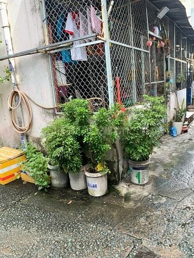 NHÀ 2 MẶT TIỀN THỐNG NHẤT, P16, GV, HCM 44M2 NGAY TRƯỜNG PHAN CHU TRIN