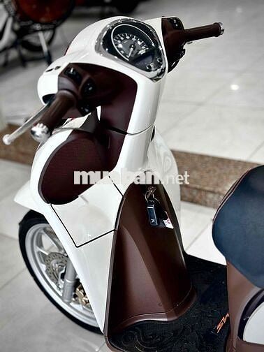 ShMode 2021 ABS Bs đẹp ( Hỗ trợ GÓP ) 🔥🔥