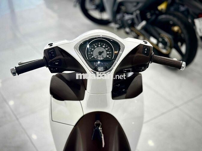 ShMode 2021 ABS Bs đẹp ( Hỗ trợ GÓP ) 🔥🔥