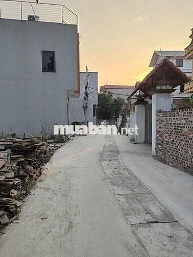 Đất tổ 9, Quang Minh, Mê Linh. Cực hiếm, giá công nhân, sinh viên.