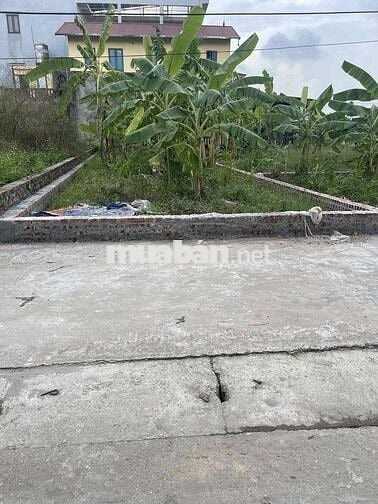 BÁN ĐẤT TỔ 9 TT QUANG MINH- MÊ LINH- HN- DT 57m2- MT4,5m