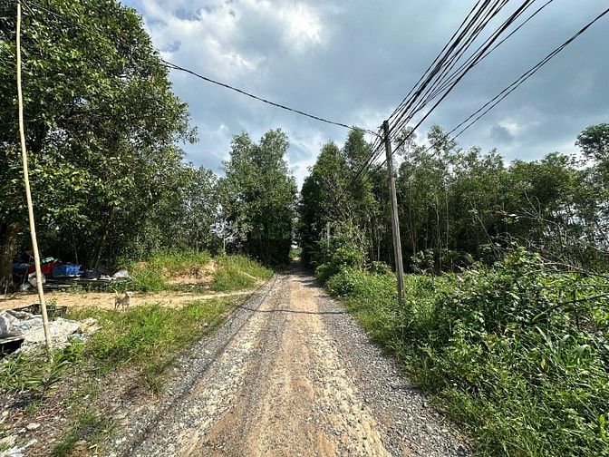 12x30(342m2) Hẻm Lý Nam Đế, Tân Phước LaGi Giá 1,2 Tỷ