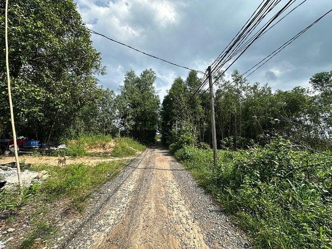 12x30(342m2) Hẻm Lý Nam Đế, Tân Phước LaGi Giá 1,2 Tỷ