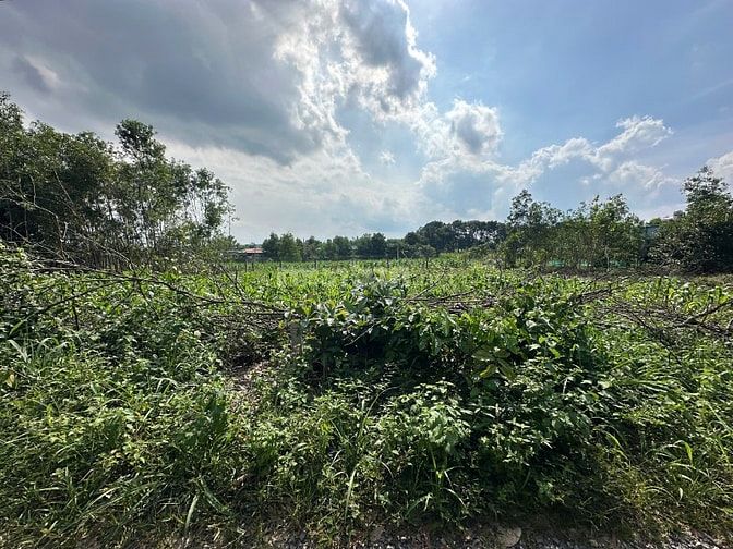 12x30(342m2) Hẻm Lý Nam Đế, Tân Phước LaGi Giá 1,2 Tỷ