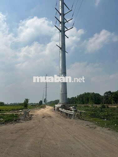 BÁN 1093 M2 ĐẤT TRỒNG CÂY NGUYÊN VĂN BỨA, HM