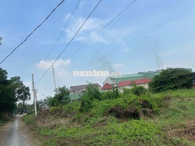 BÁN 1093 M2 ĐẤT TRỒNG CÂY NGUYÊN VĂN BỨA, HM