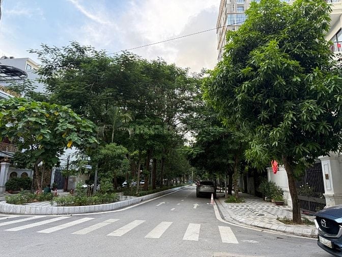 CHÍNH CHỦ CẦN BÁN ĐẤT BIỆT THỰ VƯỜN ĐÀO LÔ D5 180m2 MT 11m