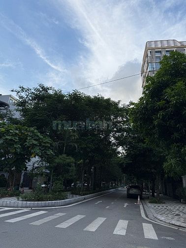 CHÍNH CHỦ CẦN BÁN ĐẤT BIỆT THỰ VƯỜN ĐÀO LÔ D5 180m2 MT 11m