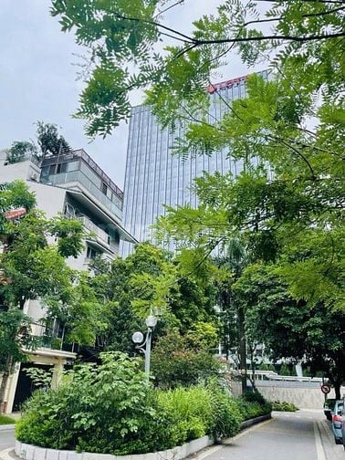 CHÍNH CHỦ CẦN BÁN ĐẤT BIỆT THỰ VƯỜN ĐÀO LÔ D5 180m2 MT 11m