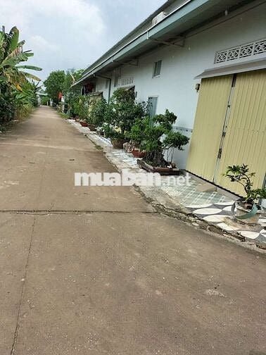 Loaloa hàng ngợp từ 900t hạ còn 655t rẻ vô địch ko có lô thứ 2 đâu ạ
