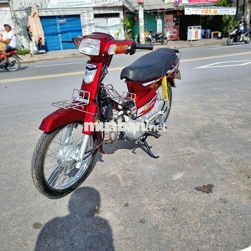 Draem úp fun super biển 52 dọn mới nguyên cây