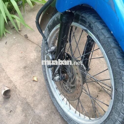 Xe wess rx 2011 xe cọp