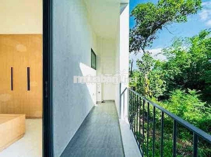 nhà an cư không lụt - kiệt vũ ngọc phan thông bàu vá