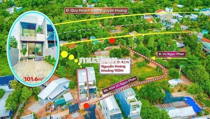 nhà an cư không lụt - kiệt vũ ngọc phan thông bàu vá