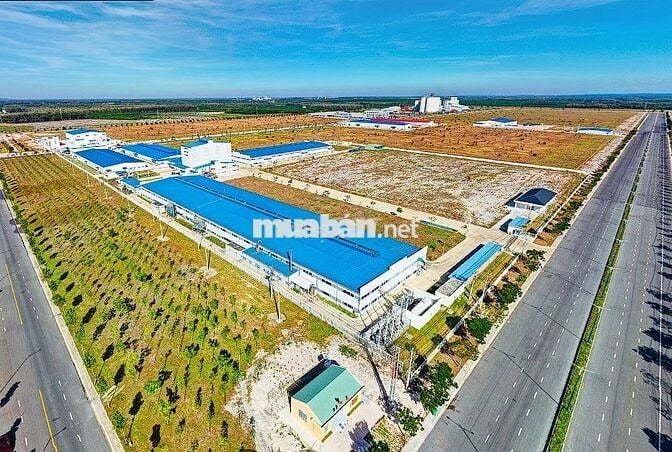 Nền đẹp ngay chợ Tân Trung 175m2/485tr, SHR/TC. Cách TP Gò Công 1km.