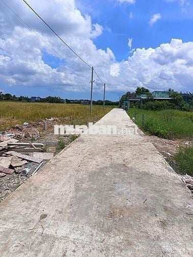 Nền đẹp ngay chợ Tân Trung 175m2/485tr, SHR/TC. Cách TP Gò Công 1km.