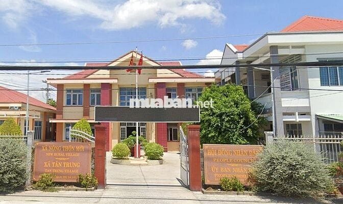 Nền đẹp ngay chợ Tân Trung 175m2/485tr, SHR/TC. Cách TP Gò Công 1km.