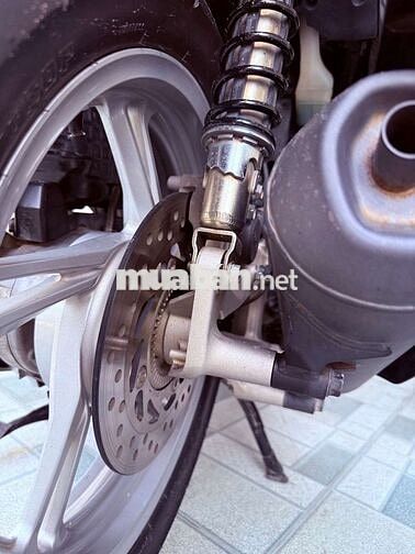 150 abs ngay chủ
