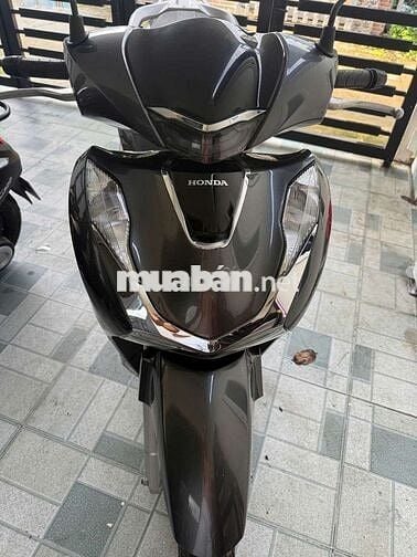 150 abs ngay chủ