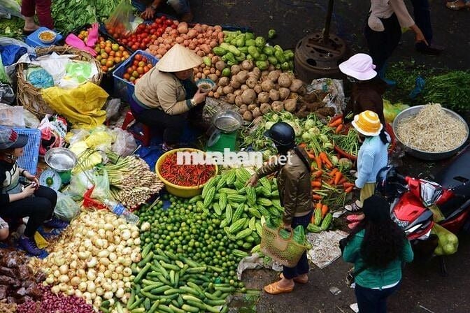 MẶT TIỀN NHỰA GẦN KHU CÔNG NGHIỆP