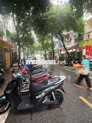 nhà phân lô 66m2 vừa ở vừa kd, đường Tam Trinh, hàng xóm kdt Gamuda