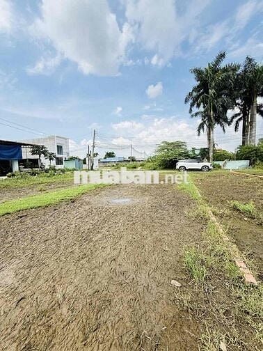 🔥 ĐẤT TRUNG TÂM ĐỨC HOÀ – DT: 159m2 ( 5 X 32 ) - FULL THỔ