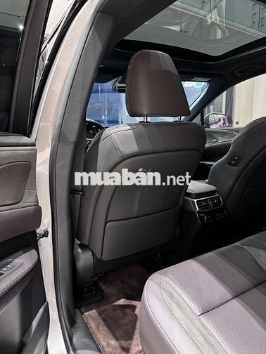 LEXUS RX350 Luxury Model 2024 TITAN