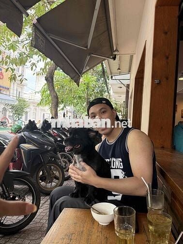shophouse 60m2 Ni Sư Huỳnh Liên Tân Bình