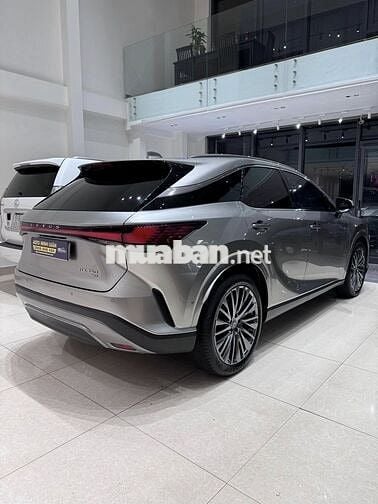 LEXUS RX350 Luxury Model 2024 TITAN
