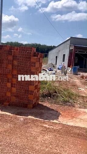 Con rước ba mẹ qua nước ngoài sống dt8200m2 có 200mtc giá 1tỷ 900