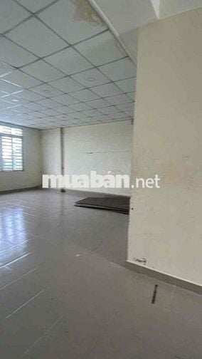 Cho Thuê Nhà Nguyên Căn. 8x23m, 3lầu Trống Suốt, Đường Tải 5Tấn,