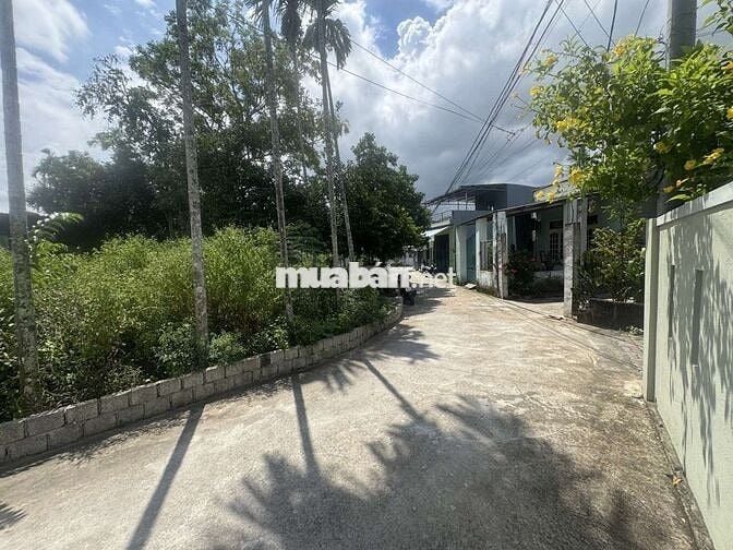 ĐẤT ĐẸP HÒA XUÂN 219M² – NGANG 13.5M NỞ HẬU, FULL THỔ CƯ, Ô TÔ ĐỖ CỬA