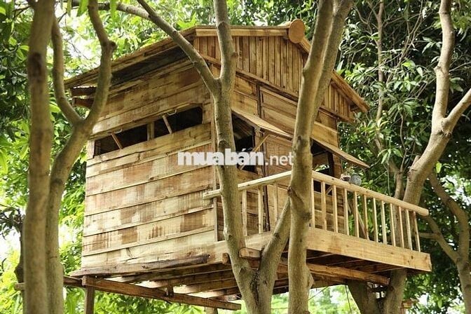 BỎ PHỐ VỀ VƯỜN - SỞ HỮU NGAY MẢNH ĐẤT ĐỒI GIÁ TỴ TẠI ĐỊNH QUÁN
