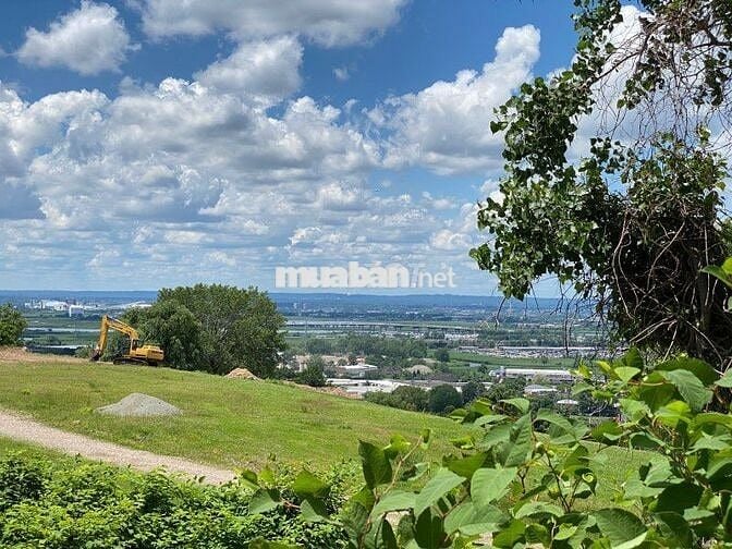 BỎ PHỐ VỀ VƯỜN - SỞ HỮU NGAY MẢNH ĐẤT ĐỒI GIÁ TỴ TẠI ĐỊNH QUÁN