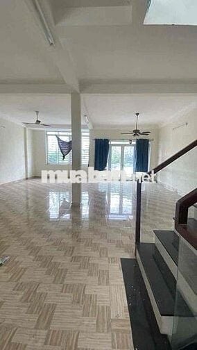 Cho Thuê Nhà Nguyên Căn. 8x23m, 3lầu Trống Suốt, Đường Tải 5Tấn,