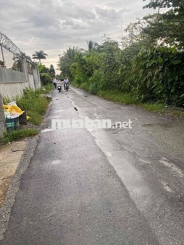 💰💰Bán 2050mv đất thổ cư  xã phạm văn hai bình Chánh.