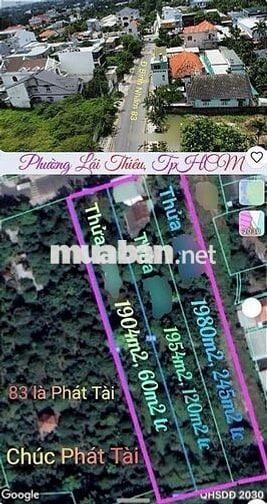 Bán 3 lô đất 46*128m MT đường Bình Nhâm 83, P. Bình Nhâm,T. Bình Dương