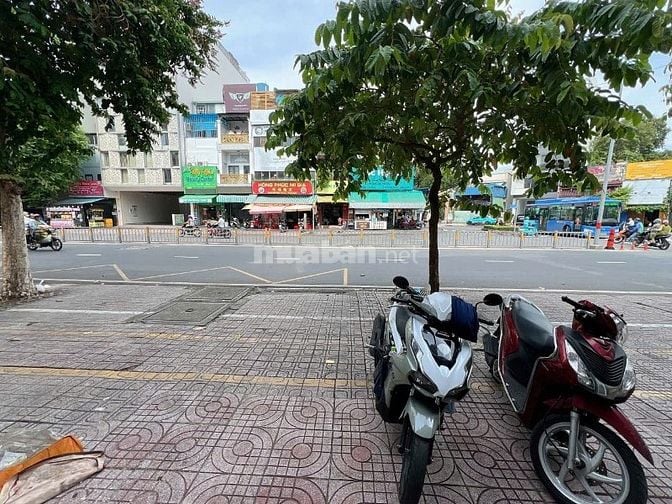 Cho thuê văn phòng và nhà thuốc 