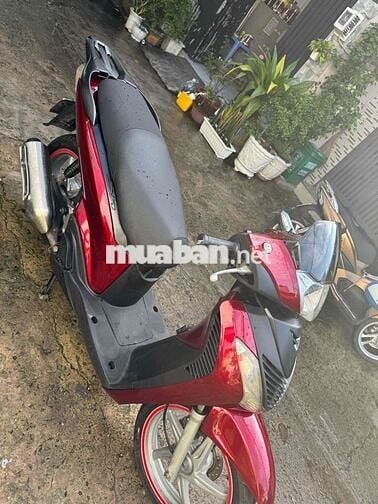 Sh 150i lên áo 2010
