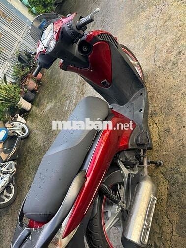 Sh 150i lên áo 2010